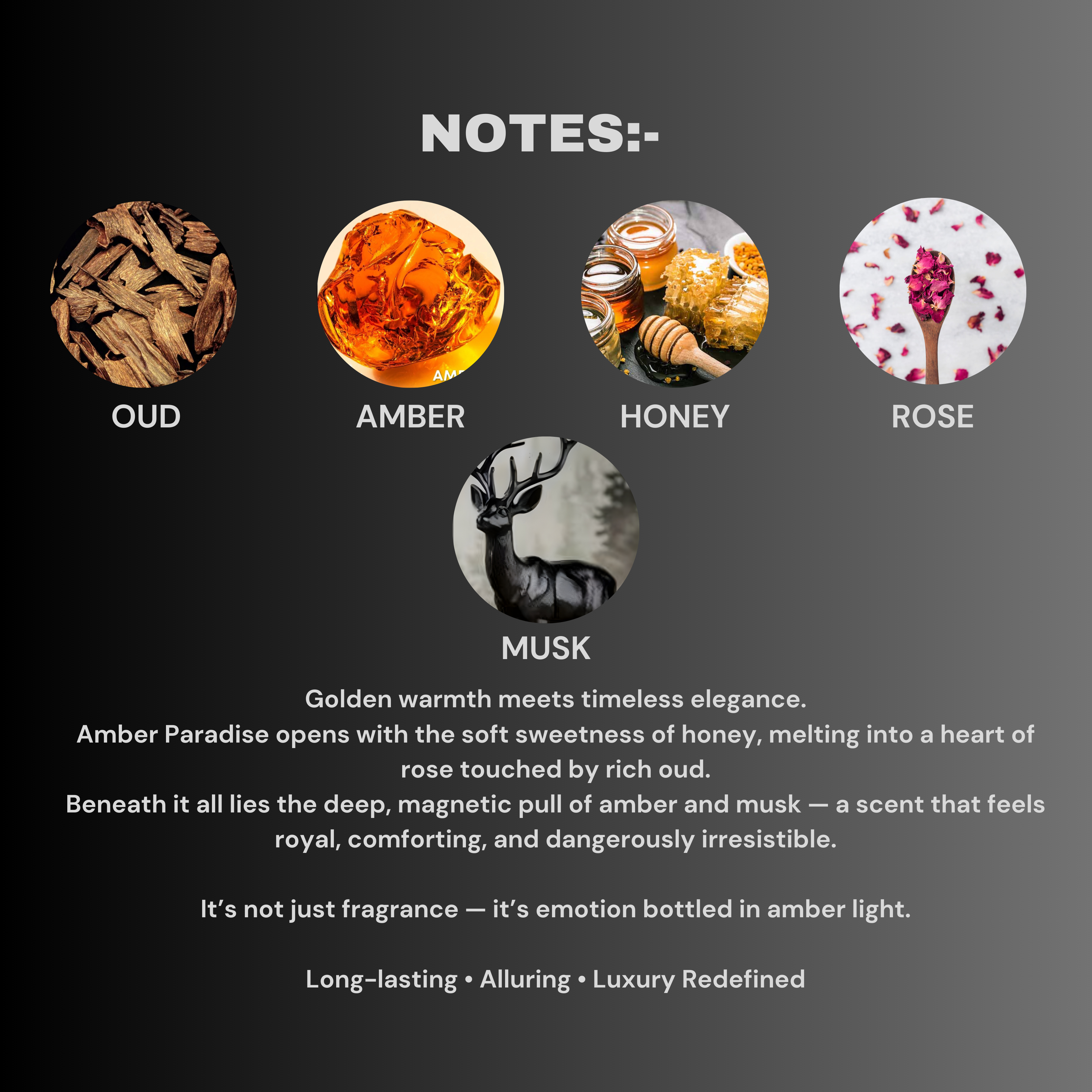 Omario perfumes- Amber paradise | eau de parfume | Luxury long lasting perfume for men